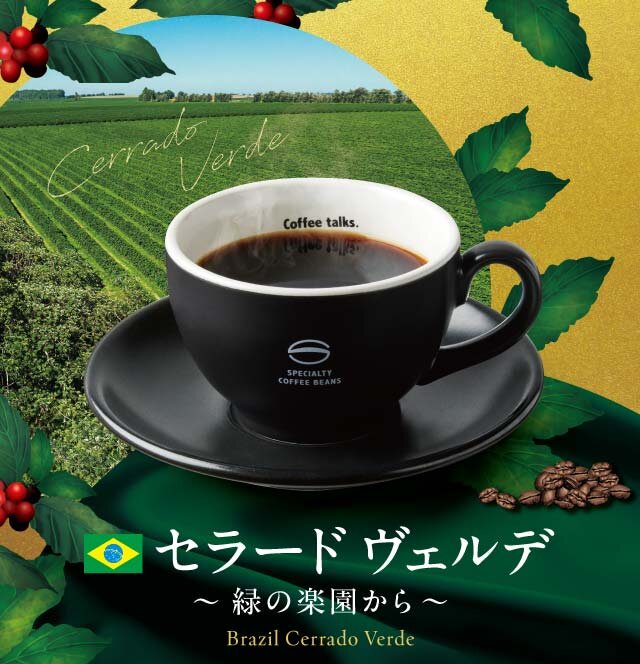 珈琲館　ブラジル セラード ヴェルデ～緑の楽園から～