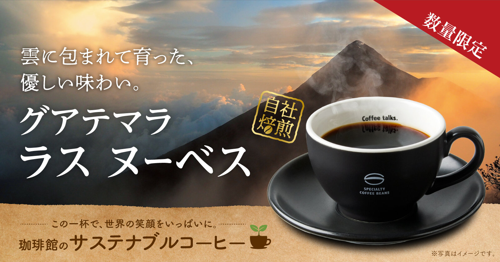 珈琲館　グアテマラ ラス ヌーベス