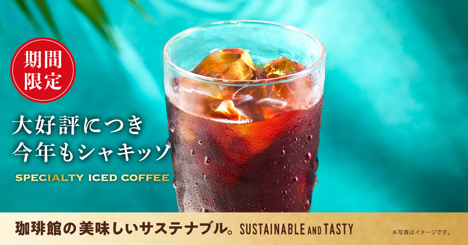 珈琲館　エチオピア　モカ　シャキッソ