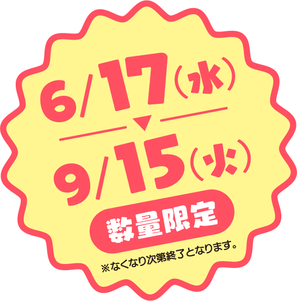 数量限定