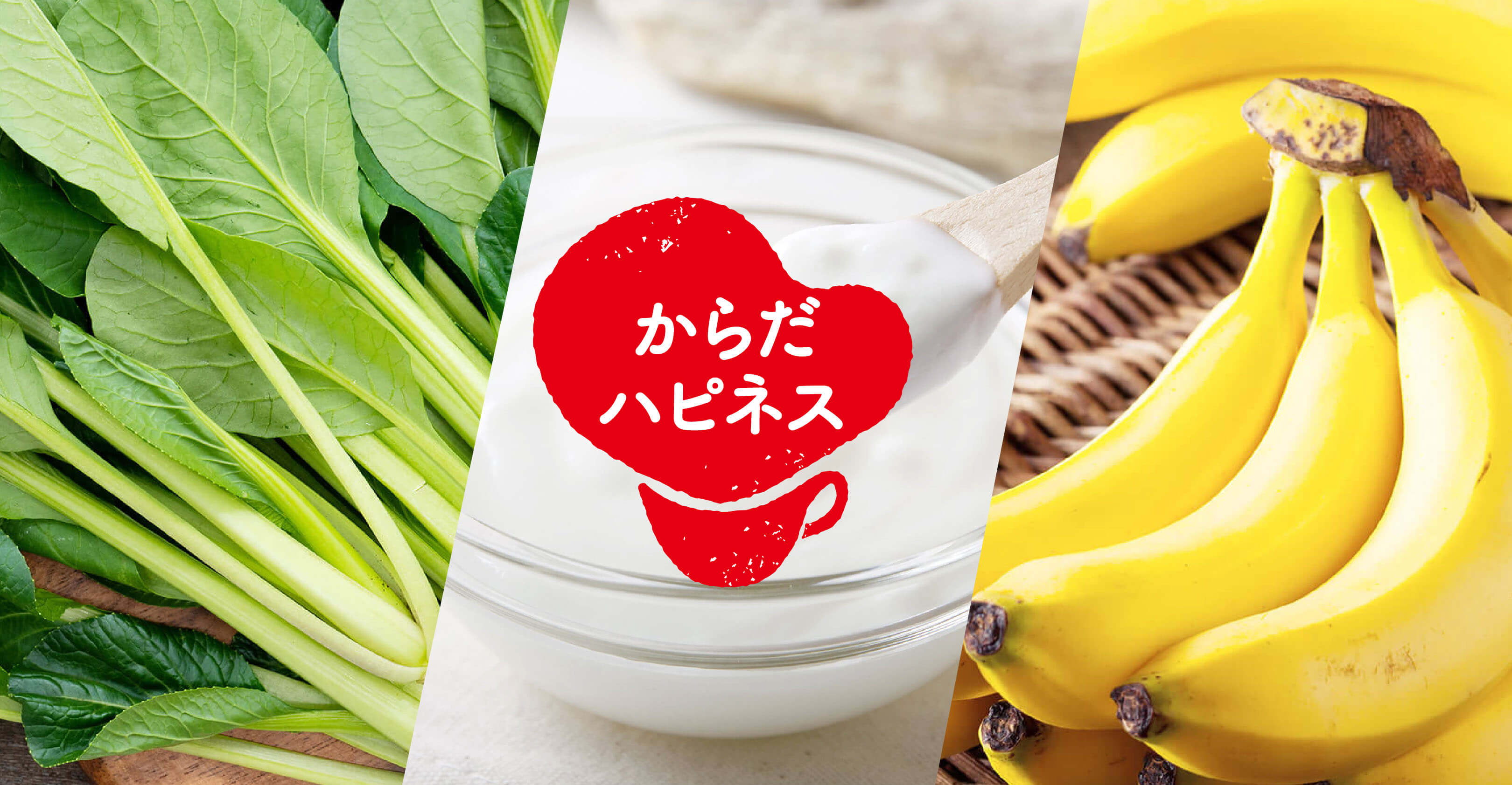 からだハピネス®︎