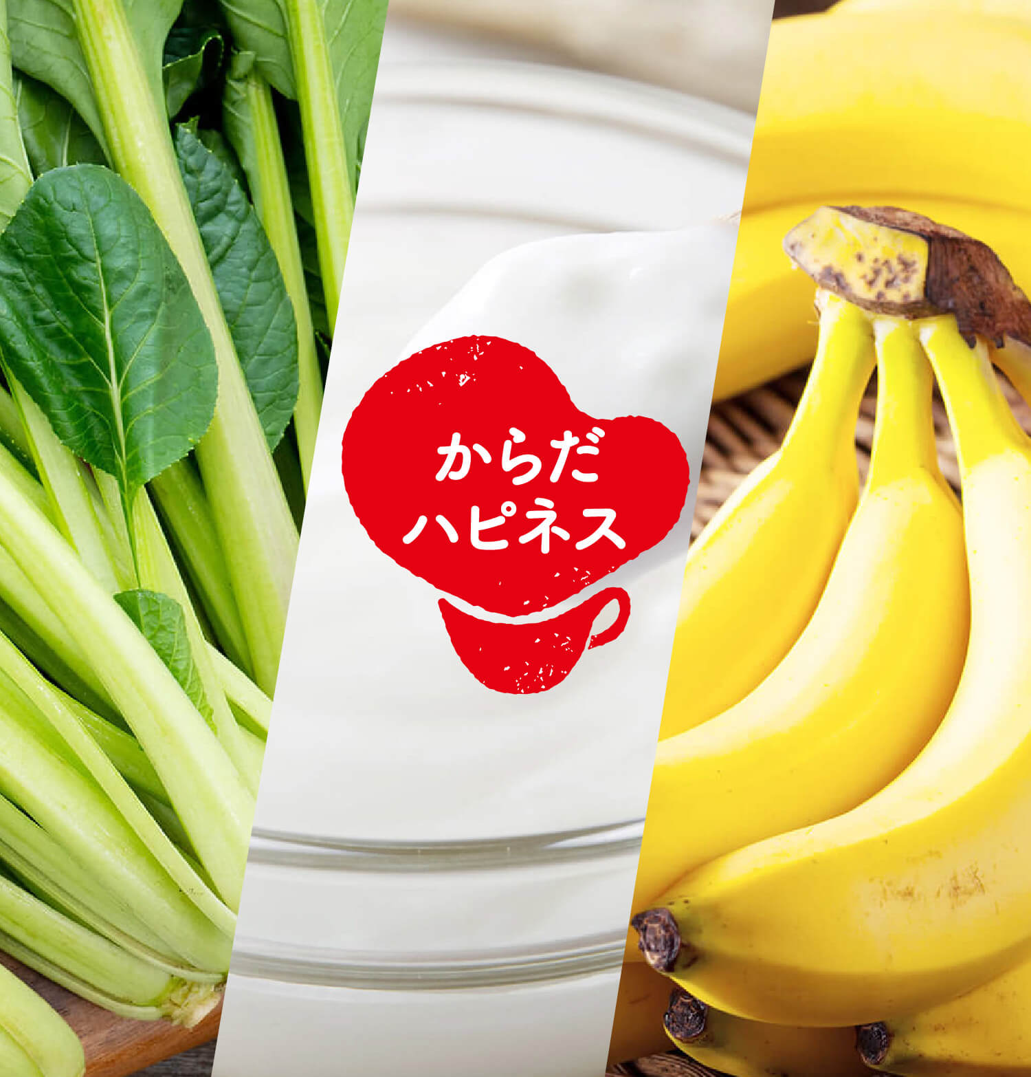 からだハピネス®︎