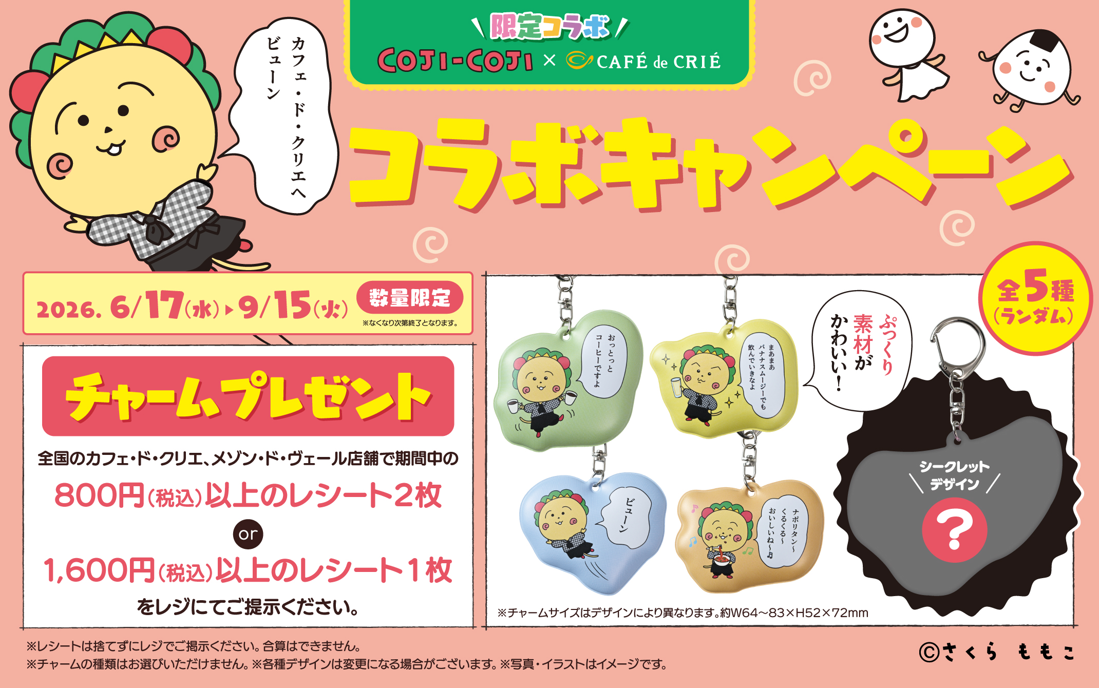 メインビュー