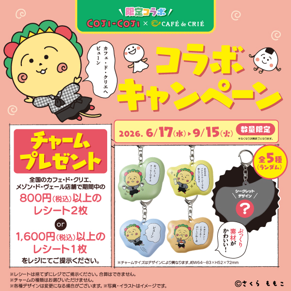 メインビュー