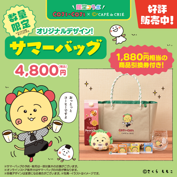 メインビュー