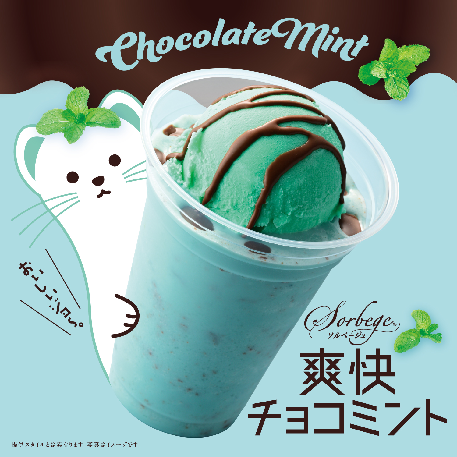 メインビュー