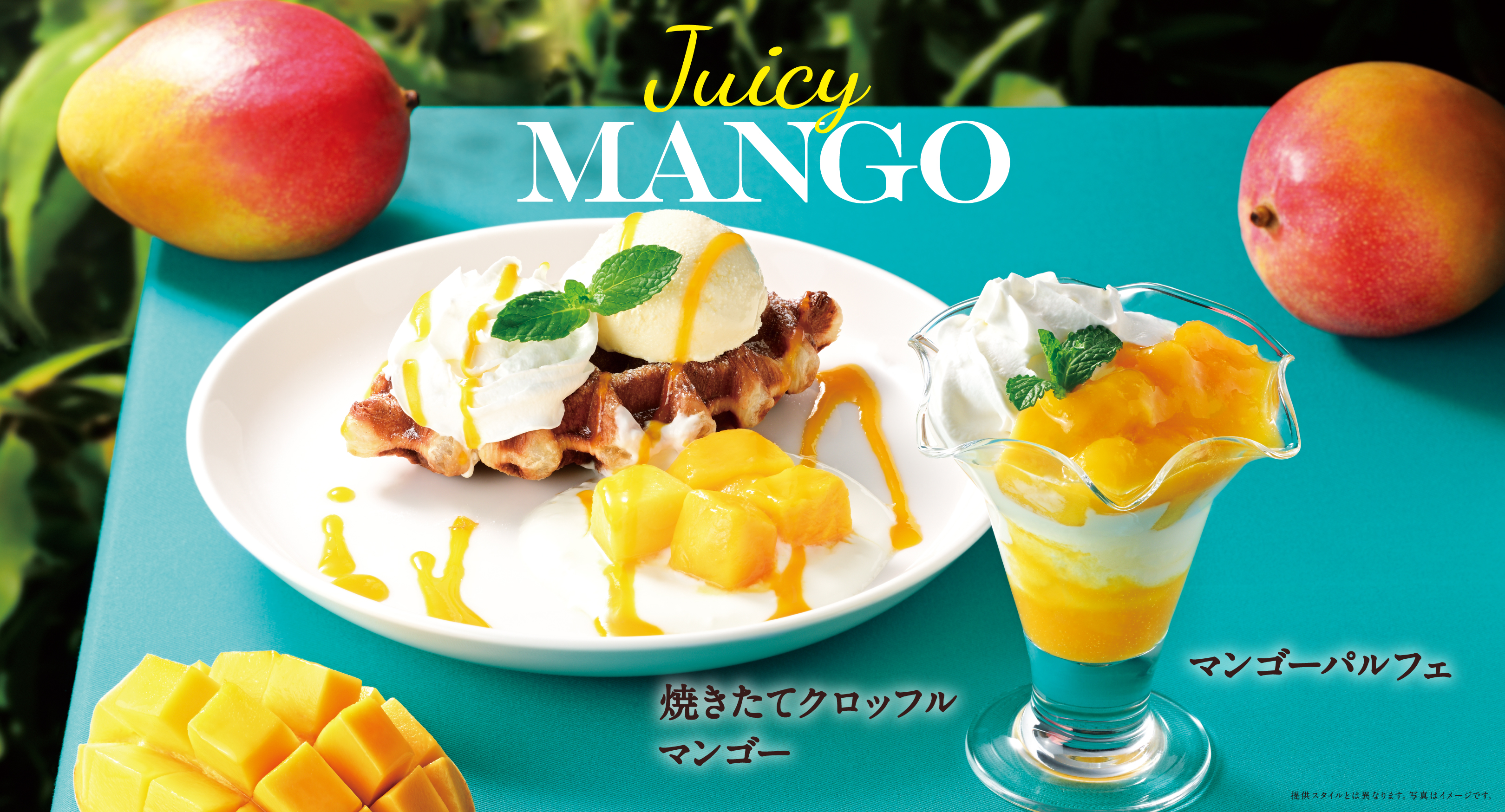 季節のおすすめ